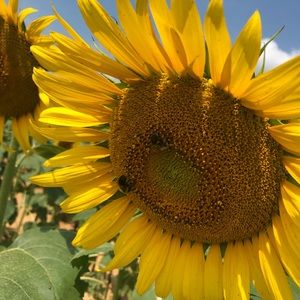 Meet your Posher, Becca